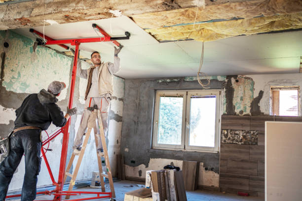 Best Insulation Contractors for Homes  in Clifton, NJ